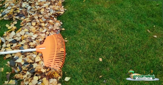 raking leaves in yard