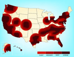Bed bug heat map