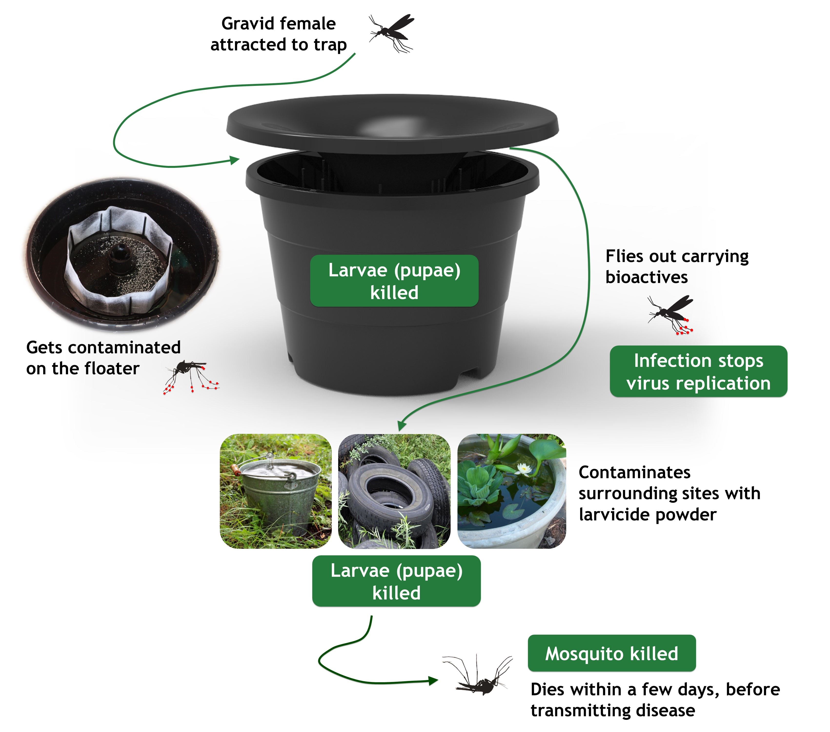 Mosquito Control Trap 